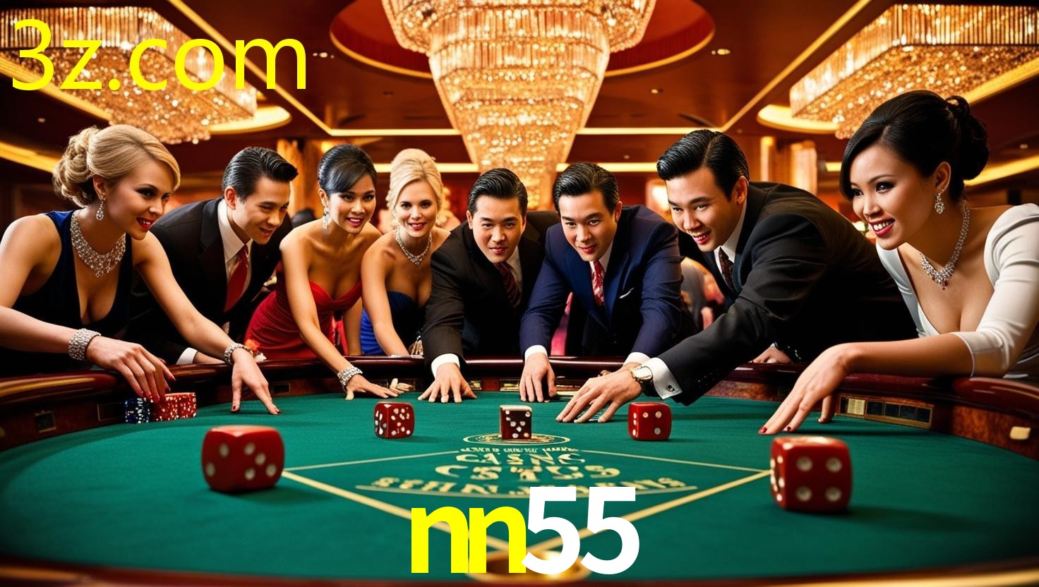 NN55.COM