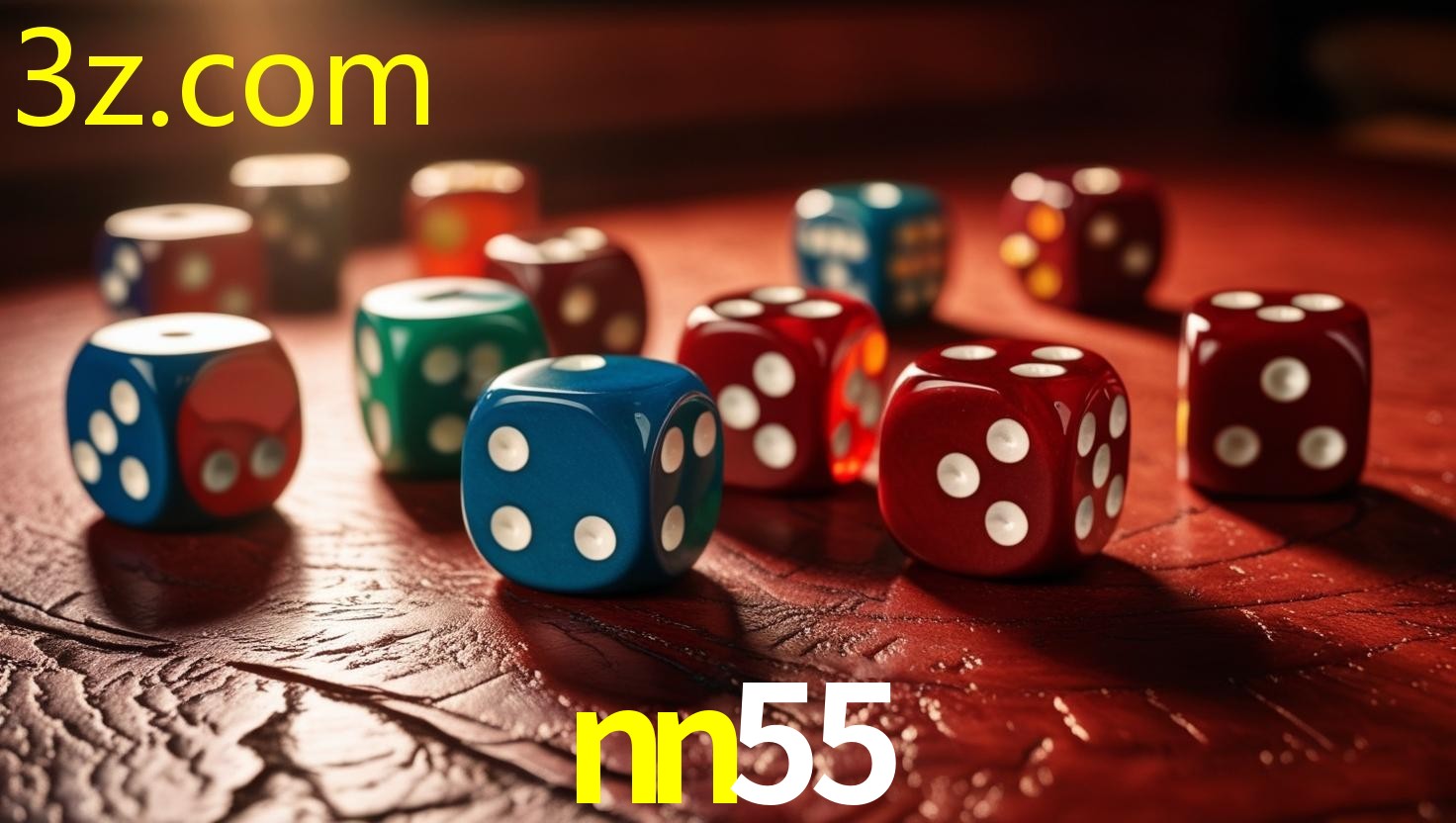 NN55.COM