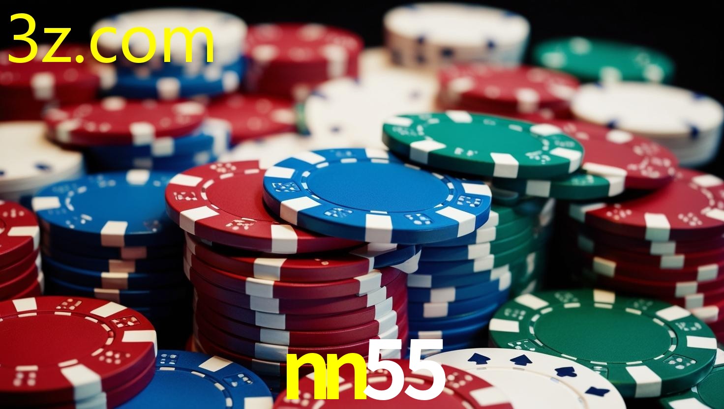 NN55.COM